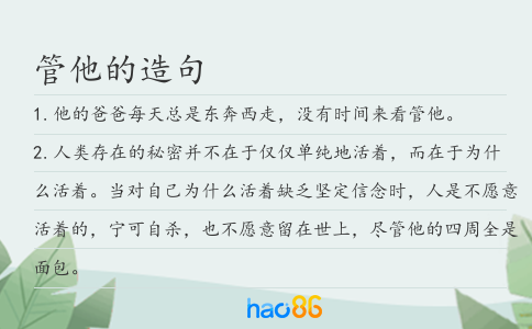 管他的造句