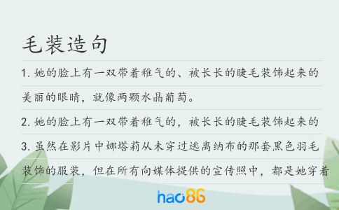 毛装造句