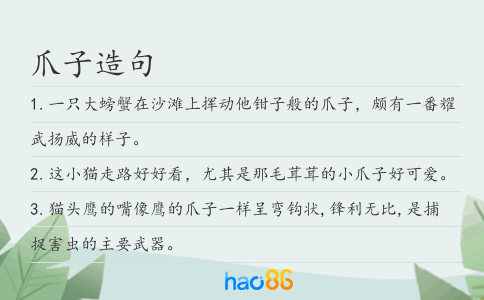 爪子造句