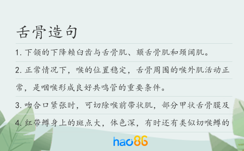 舌骨造句