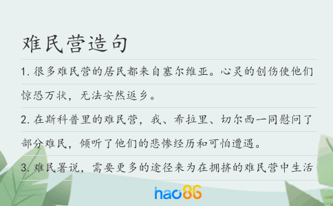 难民营造句