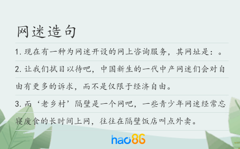 网迷造句