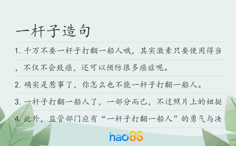 一杆子造句