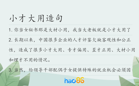 小才大用造句