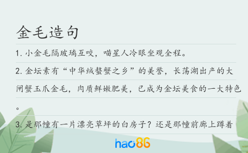 金毛造句