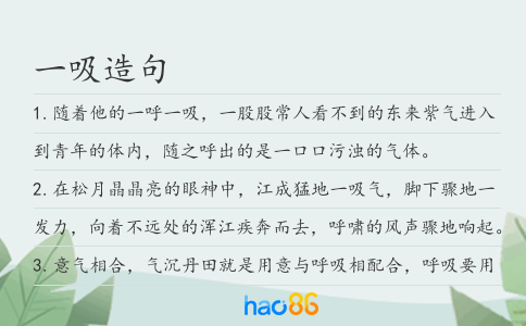 一吸造句