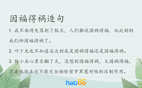因福得祸造句