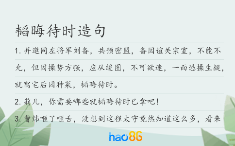 韬晦待时造句