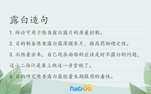 露白造句