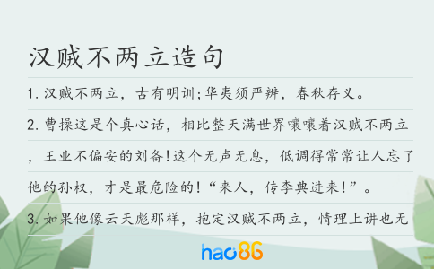 汉贼不两立造句
