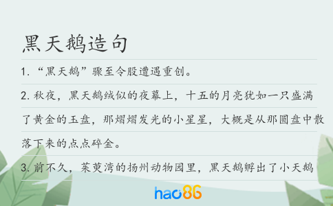 黑天鹅造句