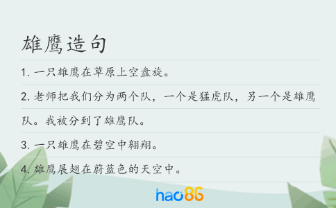 雄鹰造句