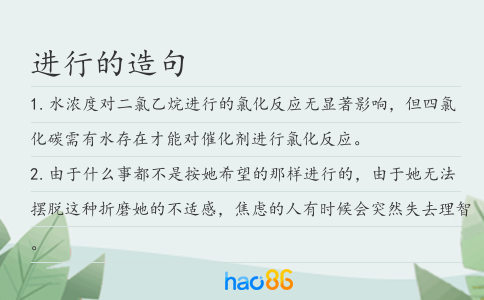 进行的造句