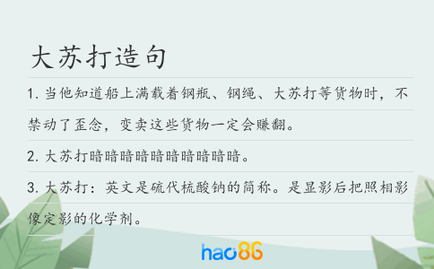 大苏打造句