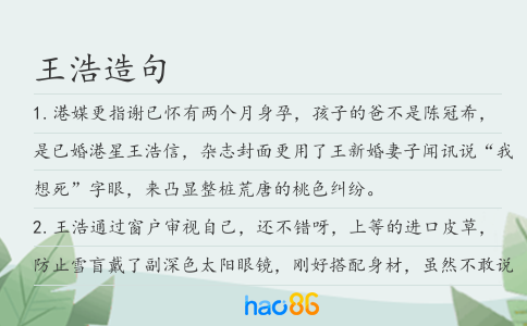 王浩造句