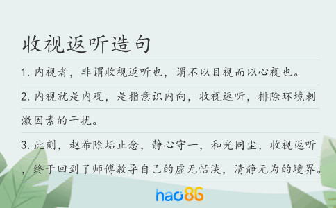 收视返听造句