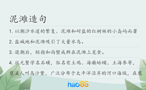 泥滩造句