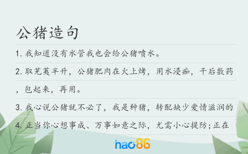 公猪造句