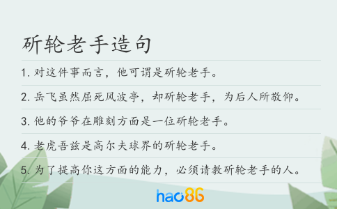 斫轮老手造句