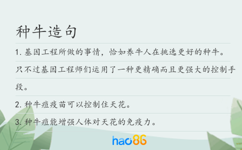 种牛造句