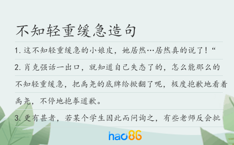 不知轻重缓急造句