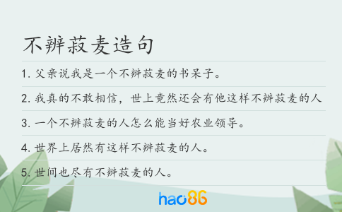 不辨菽麦造句
