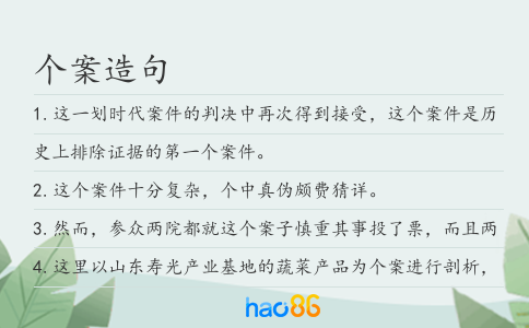 个案造句