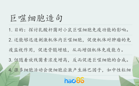 巨噬细胞造句