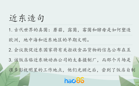 近东造句