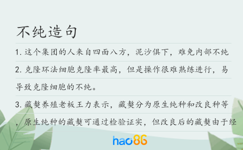 不纯造句