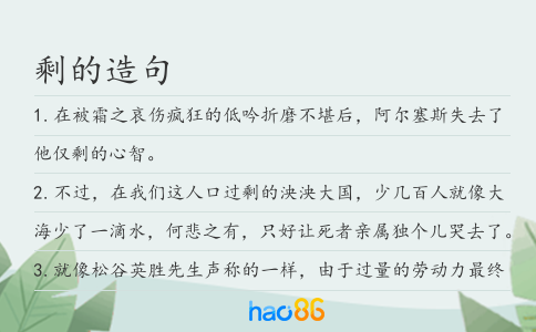 剩的造句