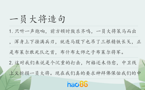 一员大将造句