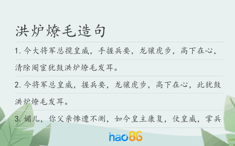 洪炉燎毛造句