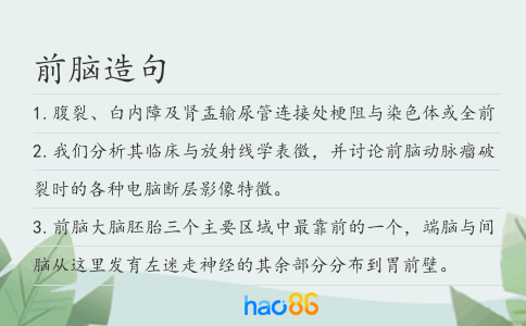 前脑造句