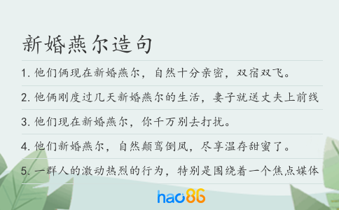 新婚燕尔造句