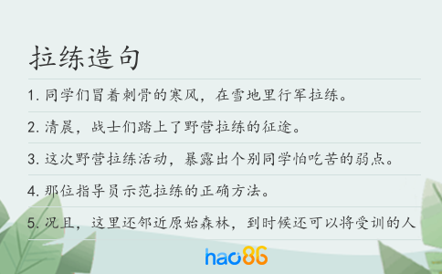 拉练造句