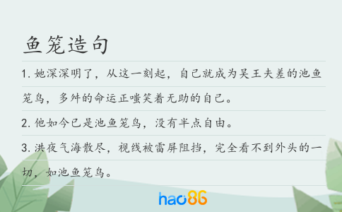 鱼笼造句