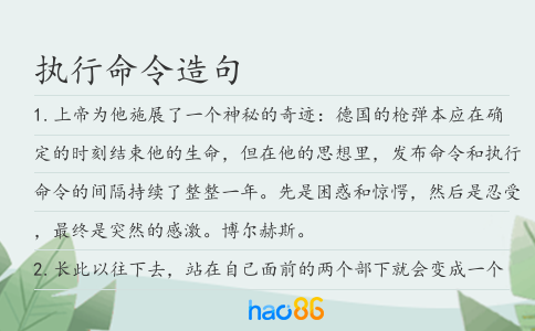 执行命令造句